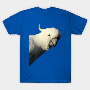 Hello cocky! T-Shirt